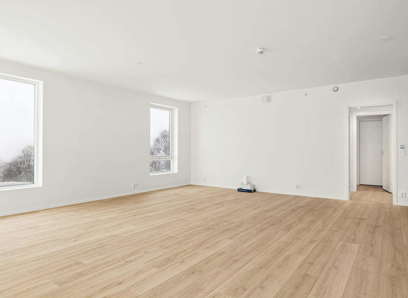 Home Staging Virtuel HOLI. Avant